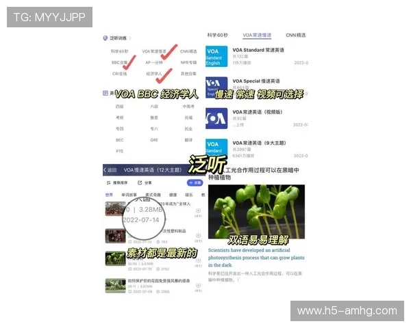 体育皇冠官网手机版网址苹果，苹果用户必看涵盖全部功能的官方最新网址