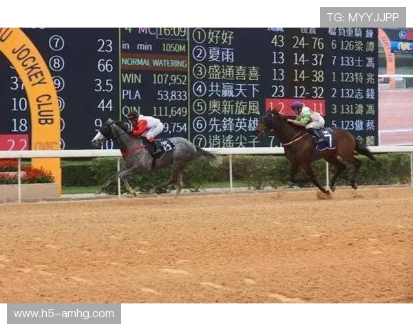 专业的澳门赛马咨询服务涵盖赛事分析、技巧指导，为投注者提供科学决策依据