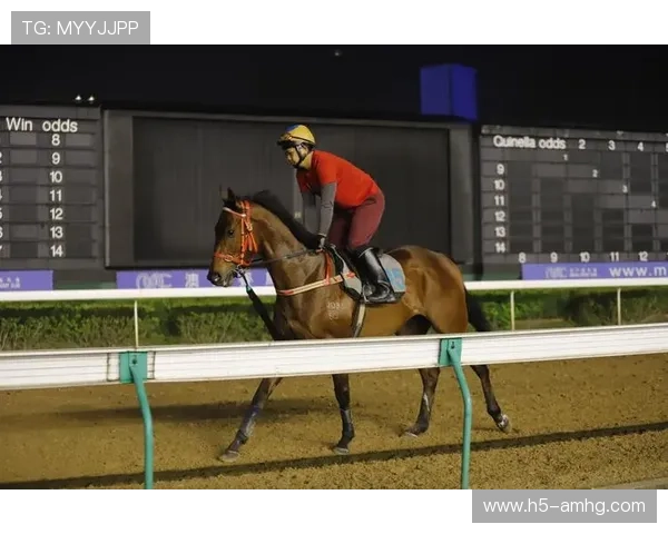 揭秘澳门赛马玩法的特色项目和最新赛程安排