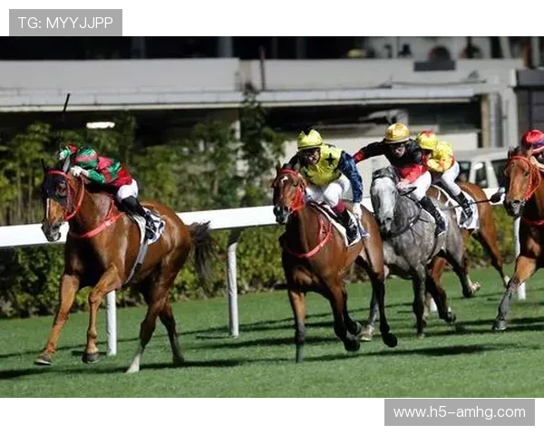 hkjc中文站：香港赛马会中文站的移动端使用指南与最佳操作体验推荐